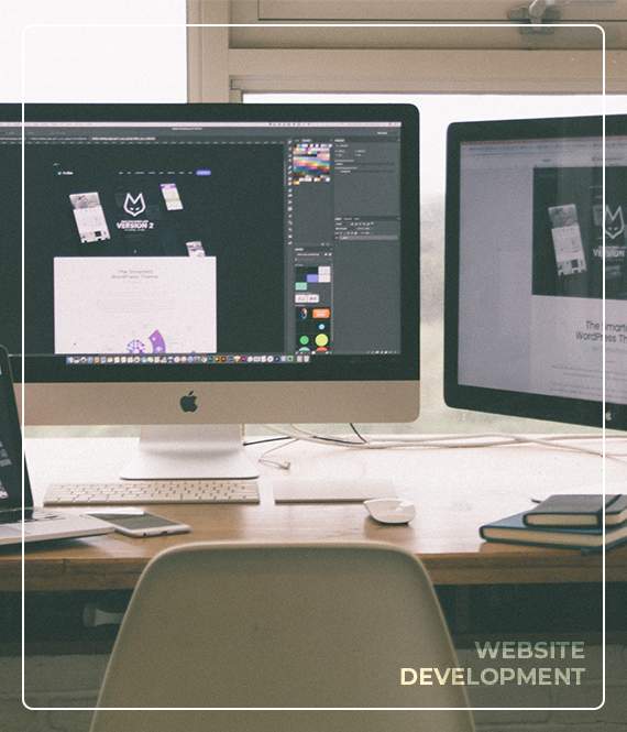 Box-image(Website-Dev)1