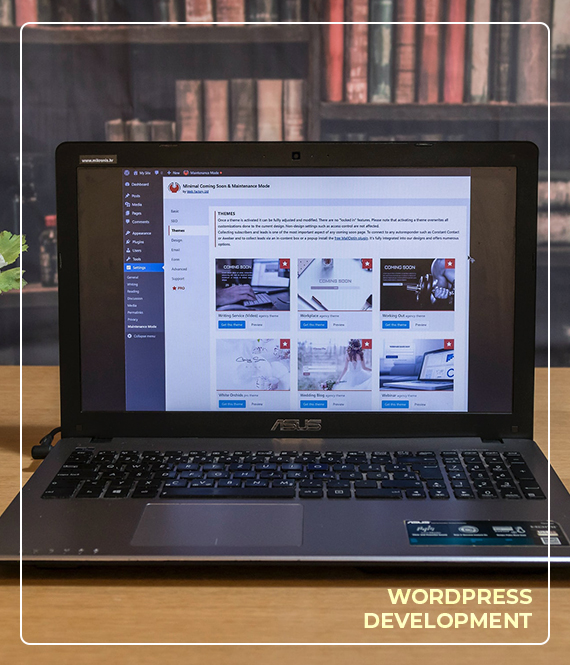 Box-image(Wordpress-dev)